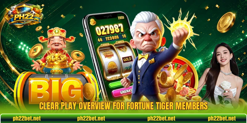 Clear play overview for Fortune Tiger members Clear play overview for Fortune Tiger members